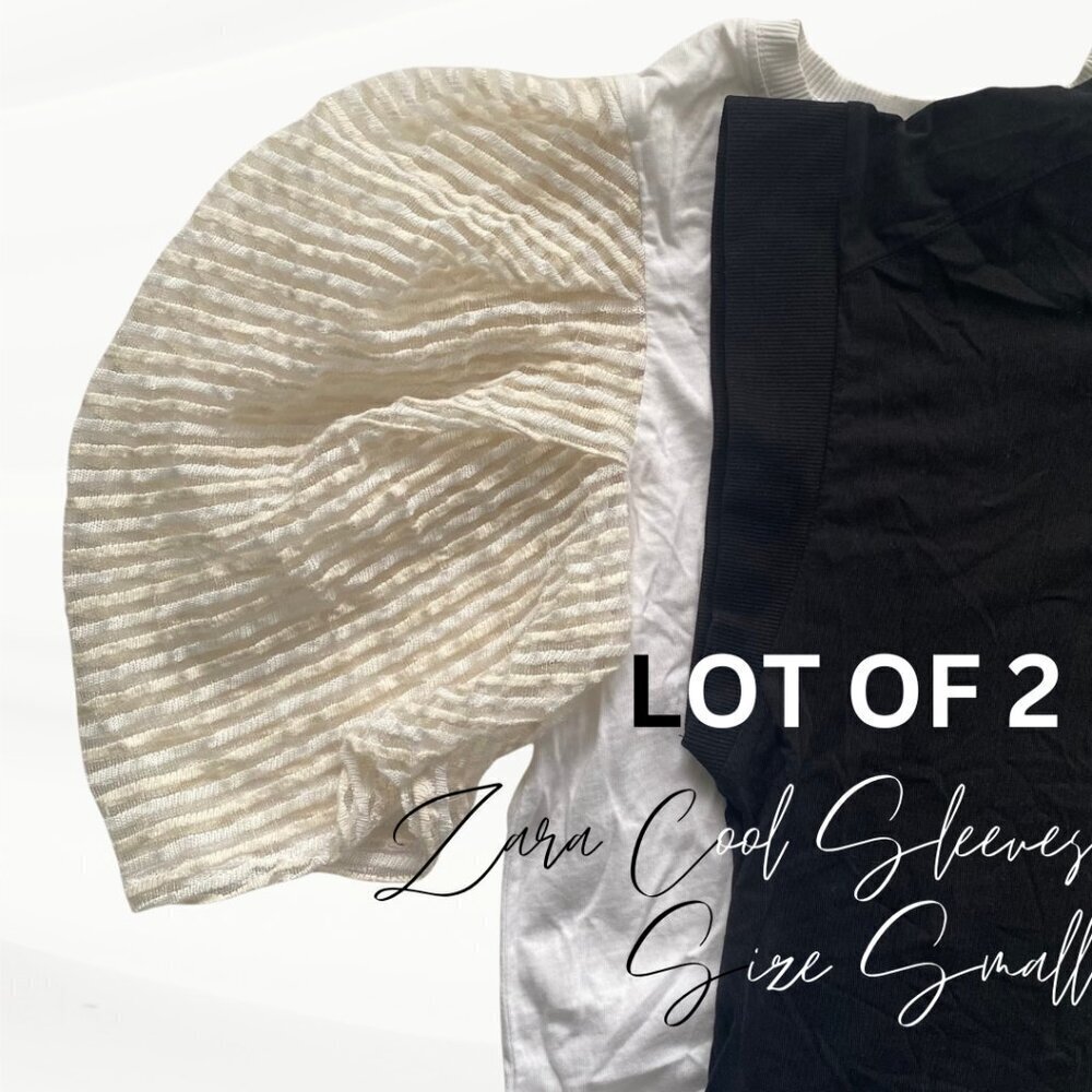 Lot of 2 Zara T-Shirts, Size Small, Muscle Tee, Puffy Semi-Sheer Sleeve